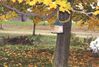Filename=20001015_007.jpg
Filesize=142KiB
Dimensions=1023x693
Date added=Oct 14, 2008 20001015_007.jpg