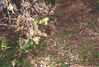Filename=20001015_011.jpg
Filesize=170KiB
Dimensions=1023x693
Date added=Oct 14, 2008 20001015_011.jpg
