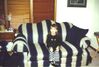 Filename=20001226_001.jpg
Filesize=74KiB
Dimensions=1023x693
Date added=Oct 14, 2008 20001226_001.jpg