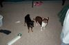 Filename=20010522_005.jpg
Filesize=599KiB
Dimensions=1024x679
Date added=Oct 14, 2008 20010522_005.jpg