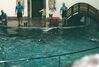 Filename=20010801_004.jpg
Filesize=299KiB
Dimensions=2047x1382
Date added=Jul 31, 2024 20010801_004.jpg