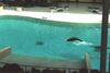 Filename=20010801_007.jpg
Filesize=67KiB
Dimensions=1023x687
Date added=Oct 14, 2008 20010801_007.jpg