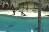 Filename=20010801_013.jpg
Filesize=70KiB
Dimensions=1023x687
Date added=Oct 14, 2008 20010801_013.jpg