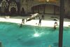 Filename=20010801_016.jpg
Filesize=74KiB
Dimensions=1023x687
Date added=Oct 14, 2008 20010801_016.jpg