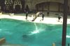 Filename=20010801_017.jpg
Filesize=72KiB
Dimensions=1023x687
Date added=Oct 14, 2008 20010801_017.jpg