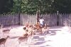 Filename=20010801_033.jpg
Filesize=136KiB
Dimensions=1023x687
Date added=Oct 14, 2008 20010801_033.jpg