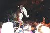 Filename=20011011_017.jpg
Filesize=71KiB
Dimensions=1023x687
Date added=Oct 14, 2008 20011011_017.jpg