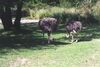 Filename=20011011_038.jpg
Filesize=141KiB
Dimensions=1023x687
Date added=Oct 14, 2008 20011011_038.jpg