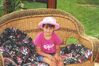 Filename=20020726_001.jpg
Filesize=128KiB
Dimensions=1023x685
Date added=Oct 14, 2008 20020726_001.jpg