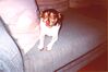 Filename=20020831_003.jpg
Filesize=166KiB
Dimensions=1021x680
Date added=Oct 14, 2008 20020831_003.jpg