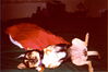 Filename=20020906_005.jpg
Filesize=148KiB
Dimensions=1021x680
Date added=Oct 14, 2008 20020906_005.jpg