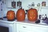 Filename=20021030_001.jpg
Filesize=88KiB
Dimensions=1023x685
Date added=Oct 14, 2008 20021030_001.jpg