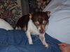 Filename=20021225_019.jpg
Filesize=122KiB
Dimensions=1024x768
Date added=Oct 14, 2008 20021225_019.jpg