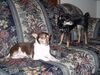 Filename=20030421_001.jpg
Filesize=226KiB
Dimensions=1024x768
Date added=Oct 17, 2008 20030421_001.jpg