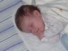 Filename=20030818_002.jpg
Filesize=85KiB
Dimensions=1024x768
Date added=Oct 17, 2008 20030818_002.jpg