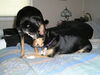 Filename=20040215_006.jpg
Filesize=167KiB
Dimensions=1024x768
Date added=Oct 19, 2008 20040215_006.jpg