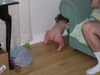 Filename=20040509_013.jpg
Filesize=190KiB
Dimensions=1024x768
Date added=Oct 19, 2008 20040509_013.jpg