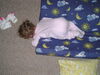 Filename=20040511_001.jpg
Filesize=178KiB
Dimensions=1024x768
Date added=Oct 19, 2008 20040511_001.jpg