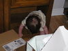 Filename=20040604_008.jpg
Filesize=161KiB
Dimensions=1024x768
Date added=Oct 19, 2008 20040604_008.jpg