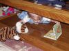 Filename=20040619_013.jpg
Filesize=132KiB
Dimensions=1024x768
Date added=Oct 19, 2008 20040619_013.jpg