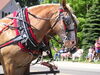 Filename=20040703_022.jpg
Filesize=174KiB
Dimensions=1024x768
Date added=Oct 19, 2008 20040703_022.jpg