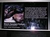 Filename=20040724_002.jpg
Filesize=158KiB
Dimensions=1024x768
Date added=Oct 19, 2008 20040724_002.jpg