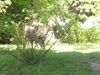Filename=20040724_014.jpg
Filesize=214KiB
Dimensions=1024x768
Date added=Oct 19, 2008 20040724_014.jpg