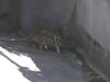 Filename=20040724_016.jpg
Filesize=80KiB
Dimensions=1024x768
Date added=Oct 19, 2008 20040724_016.jpg