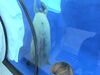 Filename=20040724_033.jpg
Filesize=119KiB
Dimensions=1024x768
Date added=Oct 19, 2008 20040724_033.jpg