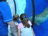 Filename=20040724_039.jpg
Filesize=112KiB
Dimensions=1024x768
Date added=Oct 19, 2008 20040724_039.jpg