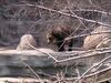 Filename=20040724_046.jpg
Filesize=217KiB
Dimensions=1024x768
Date added=Oct 19, 2008 20040724_046.jpg