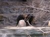 Filename=20040724_047.jpg
Filesize=174KiB
Dimensions=1024x768
Date added=Oct 19, 2008 20040724_047.jpg