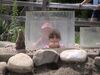 Filename=20040724_069.jpg
Filesize=155KiB
Dimensions=1024x768
Date added=Oct 19, 2008 20040724_069.jpg