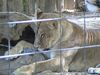 Filename=20040926_010.jpg
Filesize=171KiB
Dimensions=1024x768
Date added=Oct 19, 2008 20040926_010.jpg