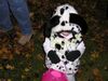 Filename=20041031_003.jpg
Filesize=145KiB
Dimensions=1024x768
Date added=Oct 19, 2008 20041031_003.jpg
