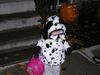 Filename=20041031_004.jpg
Filesize=134KiB
Dimensions=1024x768
Date added=Oct 19, 2008 20041031_004.jpg