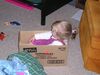 Filename=20041112_001.jpg
Filesize=164KiB
Dimensions=1024x768
Date added=Oct 19, 2008 20041112_001.jpg