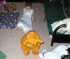 Filename=20041116_003.jpg
Filesize=175KiB
Dimensions=1024x859
Date added=Oct 19, 2008 20041116_003.jpg