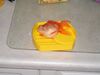 Filename=20041216_015.jpg
Filesize=104KiB
Dimensions=1024x768
Date added=Oct 19, 2008 20041216_015.jpg