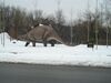 Filename=20041229_002.jpg
Filesize=148KiB
Dimensions=1024x768
Date added=Oct 19, 2008 20041229_002.jpg