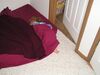 Filename=20050103_001.jpg
Filesize=112KiB
Dimensions=1024x768
Date added=Oct 24, 2008 20050103_001.jpg