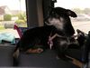Filename=20050522_001.jpg
Filesize=96KiB
Dimensions=1024x768
Date added=Oct 24, 2008 20050522_001.jpg