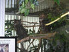 Filename=20050730_008.jpg
Filesize=232KiB
Dimensions=1024x768
Date added=Oct 24, 2008 20050730_008.jpg
