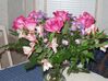 Filename=20050916_004.jpg
Filesize=338KiB
Dimensions=1024x767
Date added=Oct 24, 2008 20050916_004.jpg