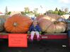 Filename=20051015_013.jpg
Filesize=311KiB
Dimensions=1024x767
Date added=Oct 24, 2008 20051015_013.jpg