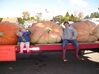Filename=20051015_016.jpg
Filesize=322KiB
Dimensions=1024x767
Date added=Oct 24, 2008 20051015_016.jpg