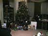 Filename=20051225_003.jpg
Filesize=453KiB
Dimensions=1024x767
Date added=Oct 24, 2008 20051225_003.jpg