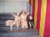 Filename=20051228_039.jpg
Filesize=348KiB
Dimensions=1024x767
Date added=Oct 24, 2008 20051228_039.jpg