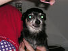Filename=20060304_001.jpg
Filesize=174KiB
Dimensions=1024x768
Date added=Oct 26, 2008 20060304_001.jpg
