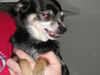 Filename=20060304_002.jpg
Filesize=94KiB
Dimensions=1024x768
Date added=Oct 26, 2008 20060304_002.jpg